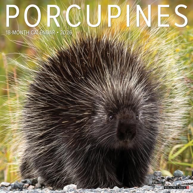 Produktbild: Porcupines 12 X 12 Wall Calendar