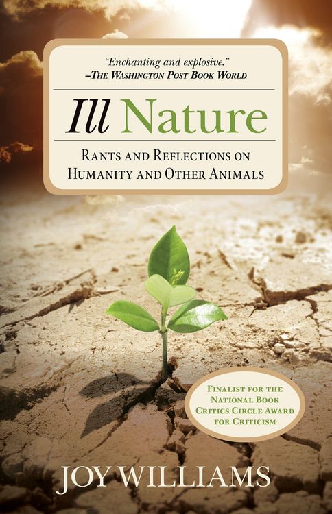 Produktbild: Ill Nature
