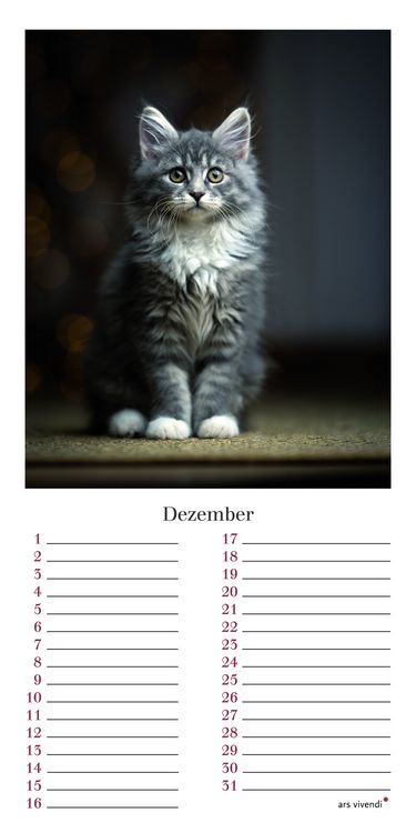 Produktbild: Geburtstagskalender Katzen