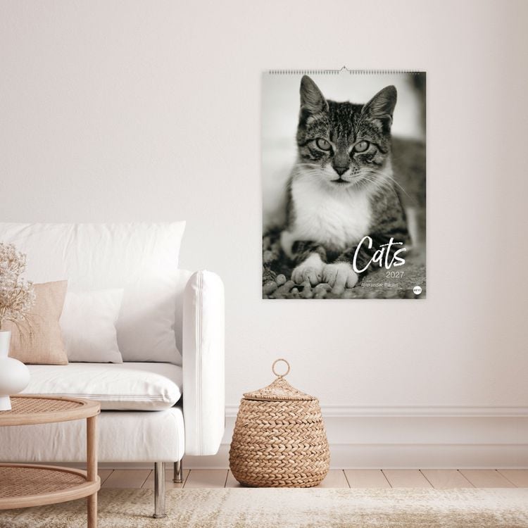 Produktbild: Cats Edition Kalender 2027