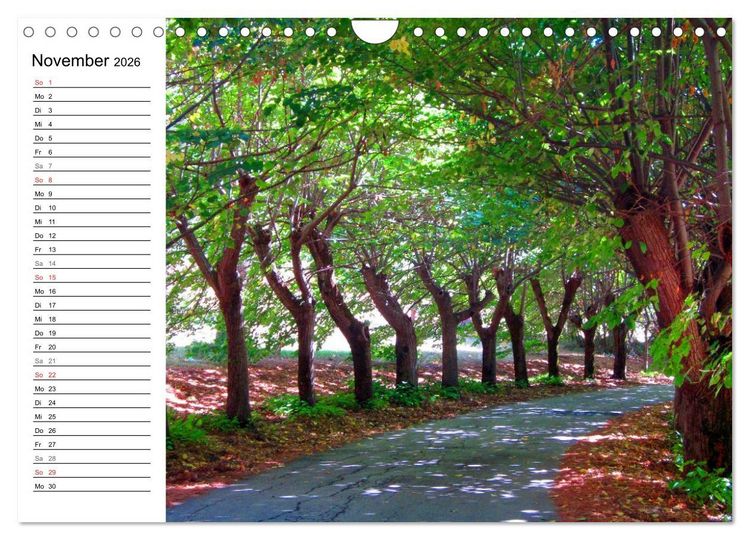 Produktbild: Franziskusweg - Camino di Assisi (Wandkalender 2026 DIN A4 quer), CALVENDO Monatskalender