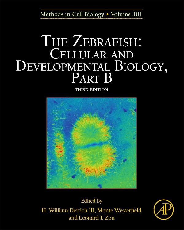 Produktbild: The Zebrafish: Cellular and Developmental Biology, Part B