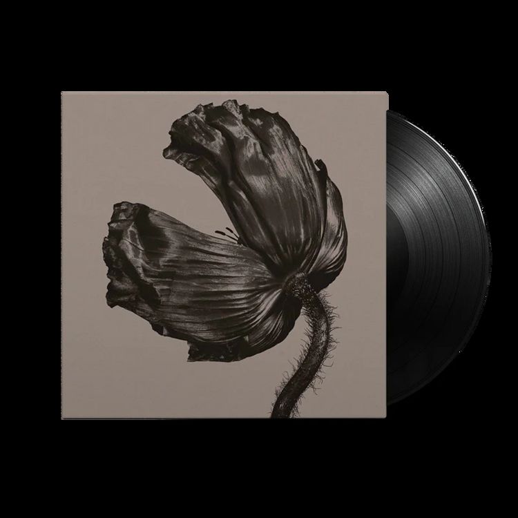 Produktbild: Release (2017 Remastered Version)