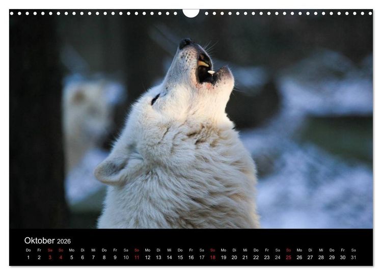 Produktbild: Tierkalender 2026 (Wandkalender 2026 DIN A3 quer), CALVENDO Monatskalender