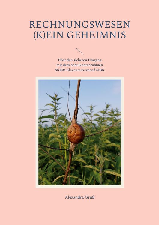 Produktbild: Rechnungswesen (k)ein Geheimnis