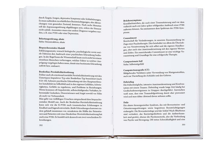 Produktbild: Das ersch&uuml;tterte Ich