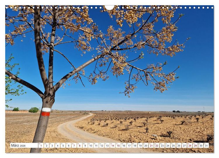 Produktbild: Camino Levante - magische Momente auf stillen Wegen (Wandkalender 2026 DIN A3 quer), CALVENDO Monatskalender