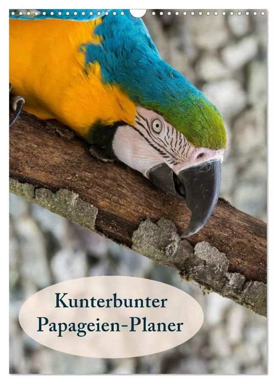 Produktbild: Kunterbunter Papageien-Planer (Wandkalender 2026 DIN A3 hoch), CALVENDO Monatskalender