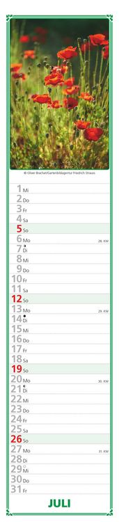 Produktbild: Paules Gartenplaner 2026 - Streifenplaner - Wandplaner - Küchen-Kalender - 11,3x49,5