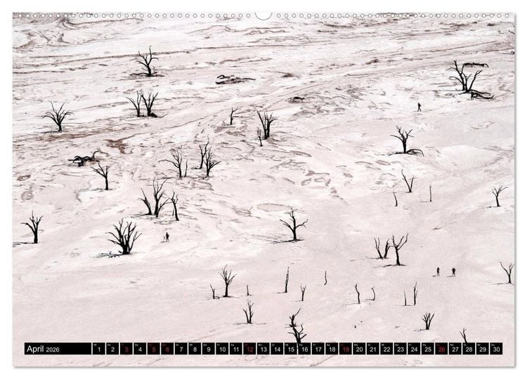 Produktbild: S&uuml;dliches Afrika - Vom Kap bis zu den Victoria F&auml;llen (Wandkalender 2026 DIN A2 quer), CALVENDO Monatskalender