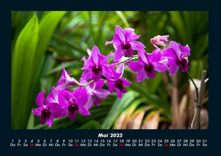 Produktbild: Naturlandschaften 2025 Fotokalender DIN A4
