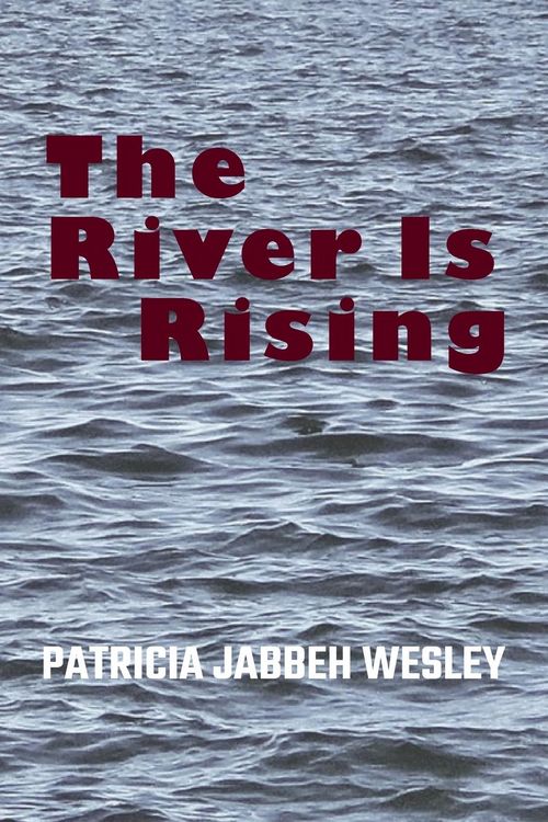Produktbild: The River Is Rising