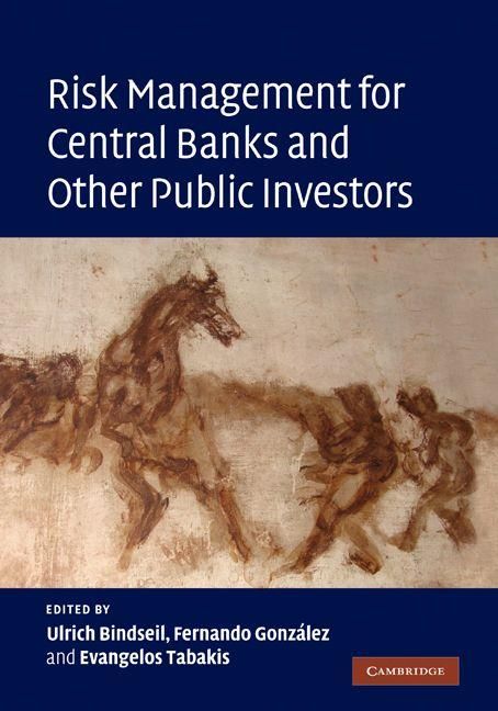 Produktbild: Risk Management for Central Banks and Other Public Investors