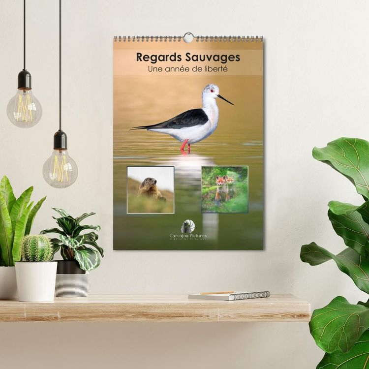 Produktbild: Regards sauvages - Une ann&eacute;e de libert&eacute; (Calendrier mural 2027 DIN A3 horizontal), CALVENDO calendrier mensuel