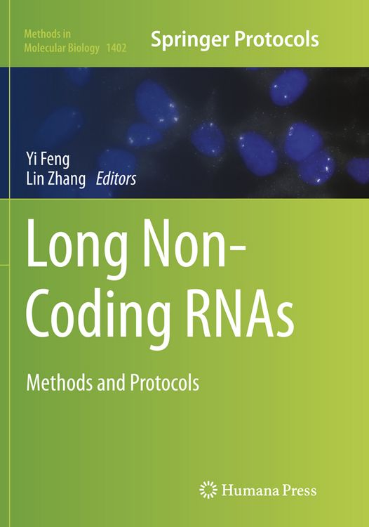 Produktbild: Long Non-Coding RNAs
