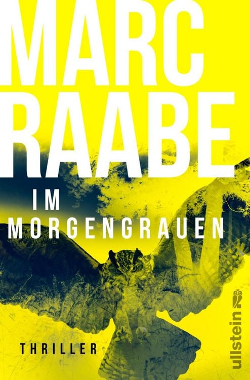 Bild vom Artikel Im Morgengrauen vom Autor Marc Raabe