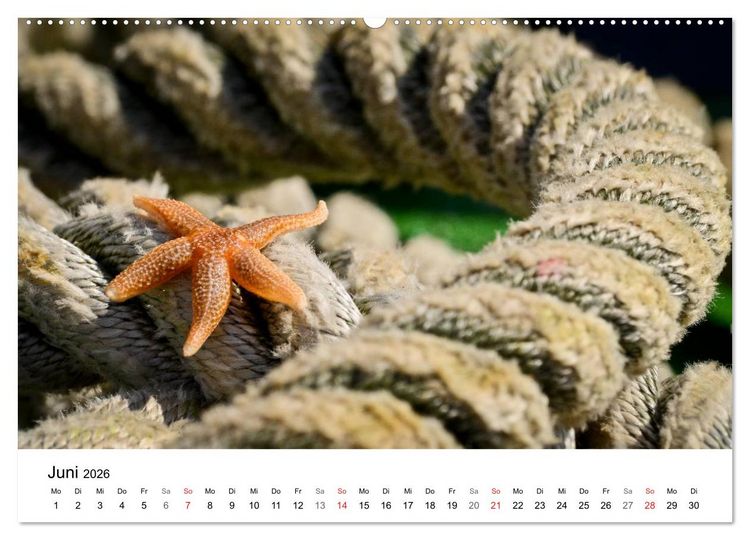 Produktbild: Maritime Impressionen Wilhelmshaven (hochwertiger Premium Wandkalender 2026 DIN A2 quer), Kunstdruck in Hochglanz