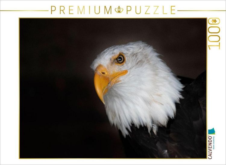 Produktbild: CALVENDO Puzzle Ein Motiv aus dem Kalender Greifv&ouml;gel und Eulen | 1000 Teile Lege-Gr&ouml;&szlig;e 64x48cm Foto-Puzzle f&uuml;r gl&uuml;ckliche Stunden