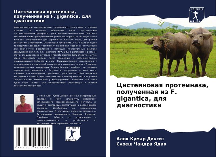 Produktbild: Cisteinowaq proteinaza, poluchennaq iz F. gigantica, dlq diagnostiki