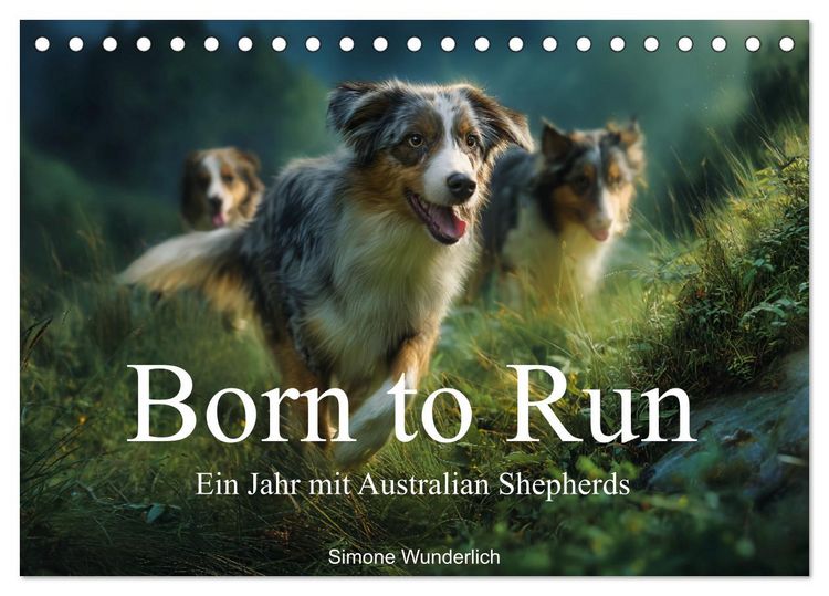 Produktbild: Born to run - Ein Jahr mit Australian Shepherds (Tischkalender 2027 DIN A5 quer), CALVENDO Monatskalender