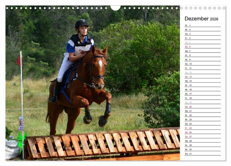 Produktbild: Mein Reitsport Kalender (Wandkalender 2026 DIN A3 quer), CALVENDO Monatskalender