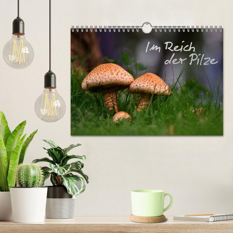 Produktbild: Im Reich der Pilze (Wandkalender 2026 DIN A4 quer), CALVENDO Monatskalender