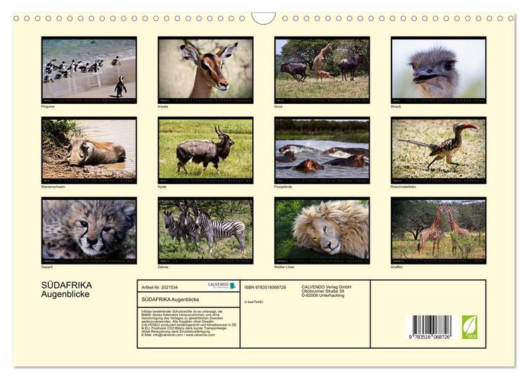 Produktbild: S&Uuml;DAFRIKA Augenblicke (Wandkalender 2026 DIN A3 quer), CALVENDO Monatskalender