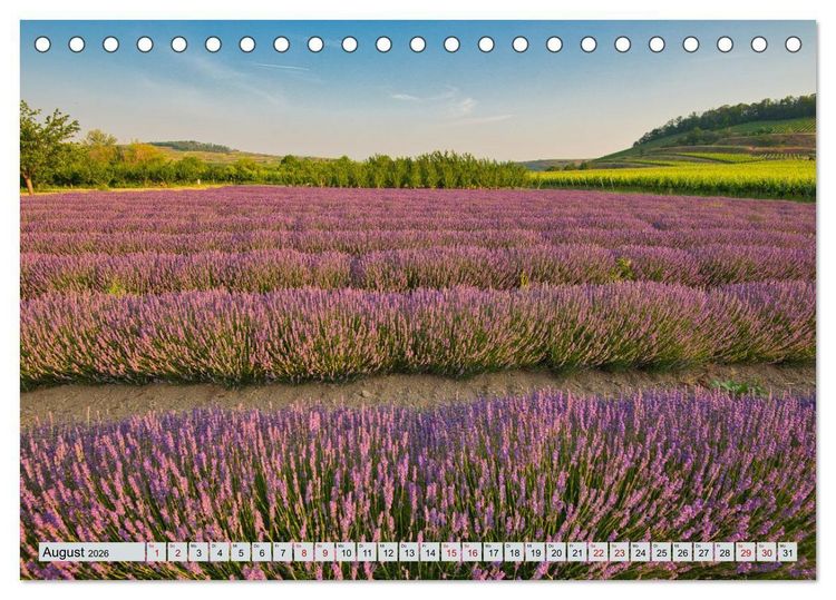 Produktbild: Weinregion Kaiserstuhl (Tischkalender 2026 DIN A5 quer), CALVENDO Monatskalender