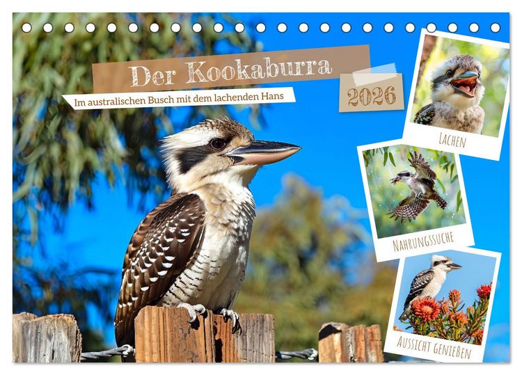 Produktbild: Der Kookaburra - Im australischen Busch mit dem lachenden Hans (Tischkalender 2026 DIN A5 quer), CALVENDO Monatskalender