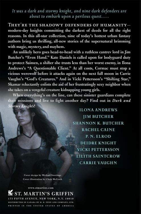 Produktbild: Dark and Stormy Knights