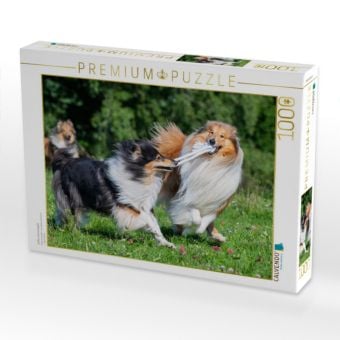 Produktbild: CALVENDO Puzzle Collies sind verspielt | 1000 Teile Lege-Gr&ouml;&szlig;e 64x48cm Foto-Puzzle f&uuml;r gl&uuml;ckliche Stunden