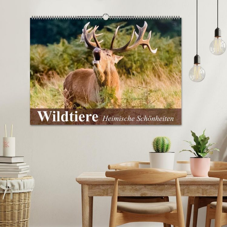 Produktbild: Wildtiere. Heimische Sch&ouml;nheiten (Wandkalender 2026 DIN A2 quer), CALVENDO Monatskalender