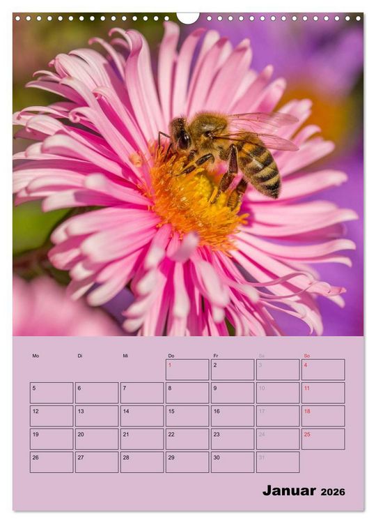Produktbild: Bienenplaner (Wandkalender 2026 DIN A3 hoch), CALVENDO Monatskalender