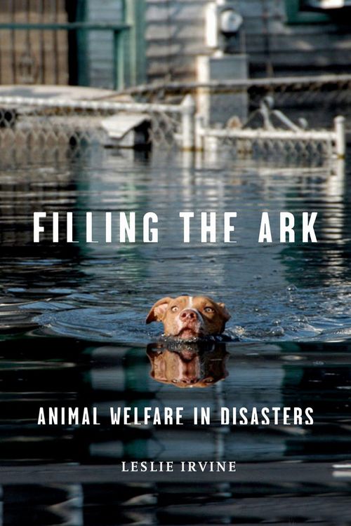 Produktbild: Filling the Ark