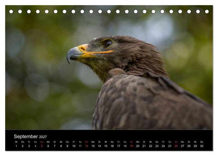Produktbild: Sch&ouml;nheiten der L&uuml;fte - Greifv&ouml;gel (Tischkalender 2027 DIN A5 quer), CALVENDO Monatskalender