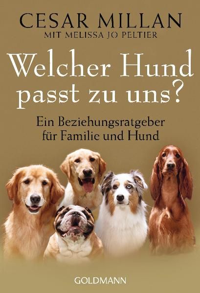 Produktbild: Welcher Hund passt zu uns?