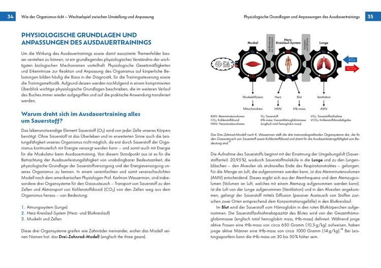 Produktbild: Voll im Takt &ndash; Ausdauertraining im Rhythmus des Herzschlags