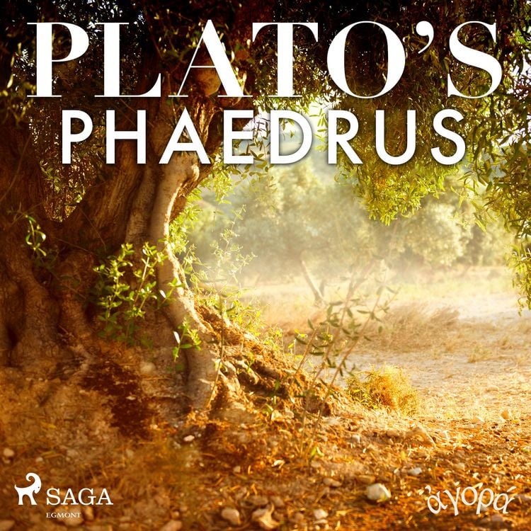 Produktbild: Plato's Phaedrus