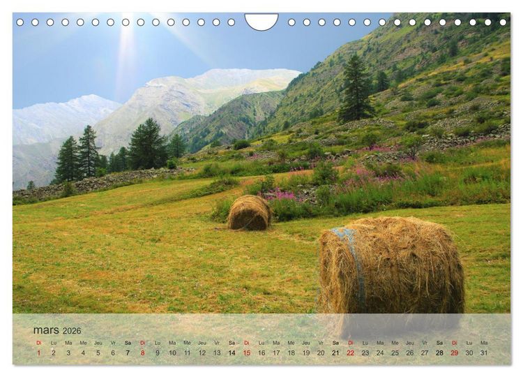 Produktbild: Echapp&eacute;e alpine (Calendrier mural 2026 DIN A4 vertical), CALVENDO calendrier mensuel