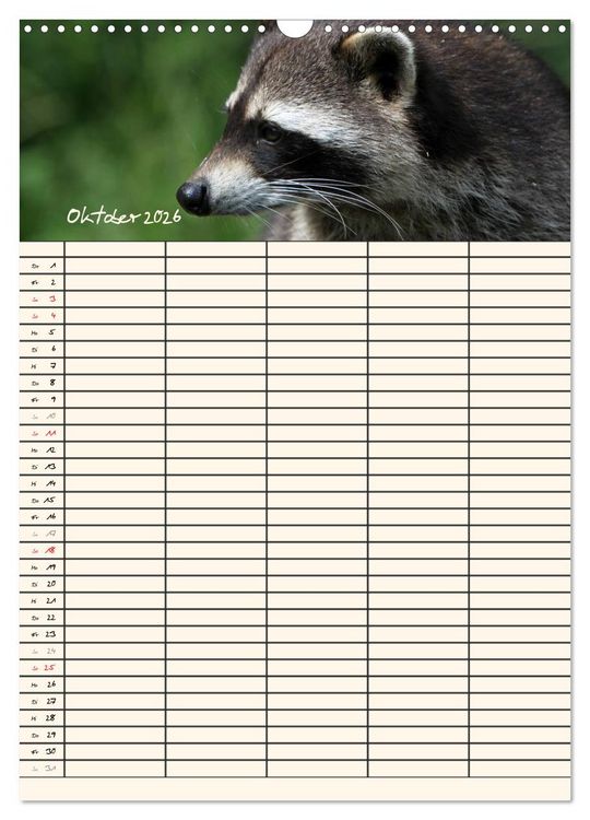 Produktbild: Waschb&auml;ren Familienplaner (Wandkalender 2026 DIN A3 hoch), CALVENDO Monatskalender