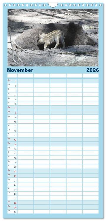 Produktbild: Familienplaner 2026 - Tierische Schweinerei mit 5 Spalten (Wandkalender, 21 x 45 cm) CALVENDO