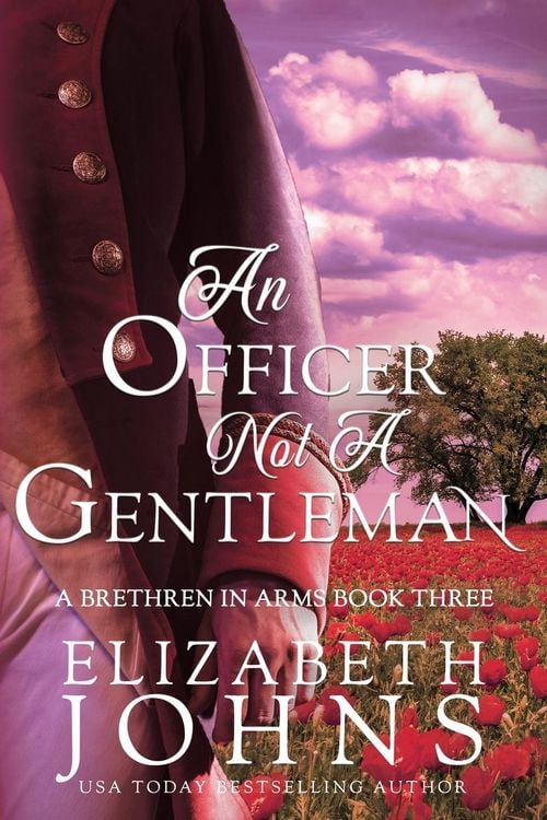 Produktbild: An Officer, Not A Gentleman