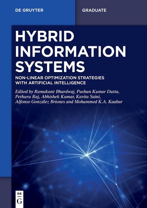Produktbild: Hybrid Information Systems