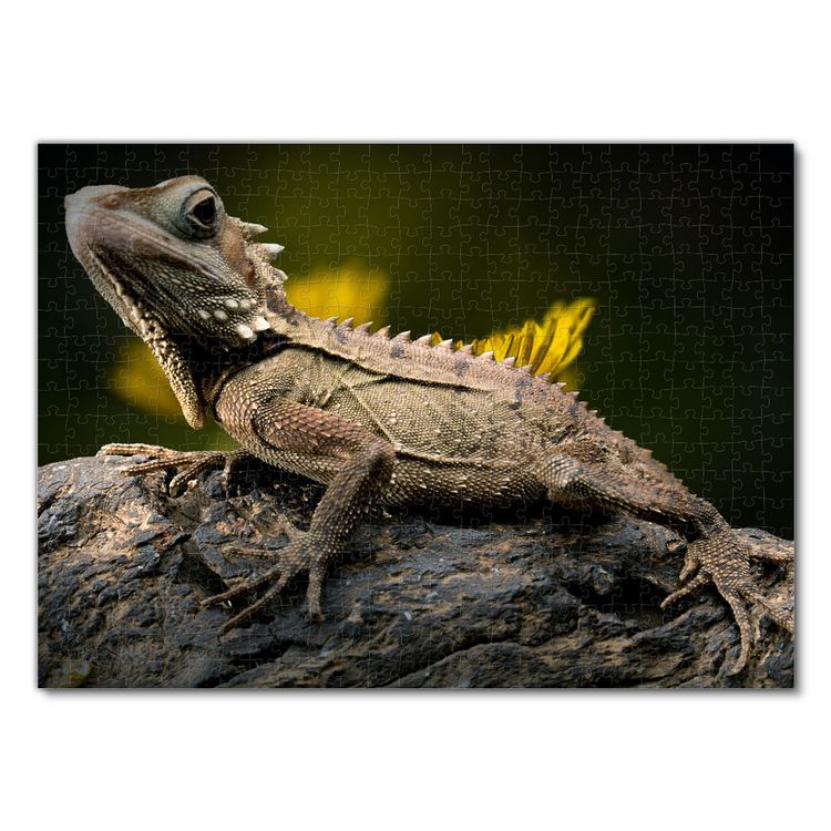 Produktbild: Lais Puzzle Walddrache 500 Teile