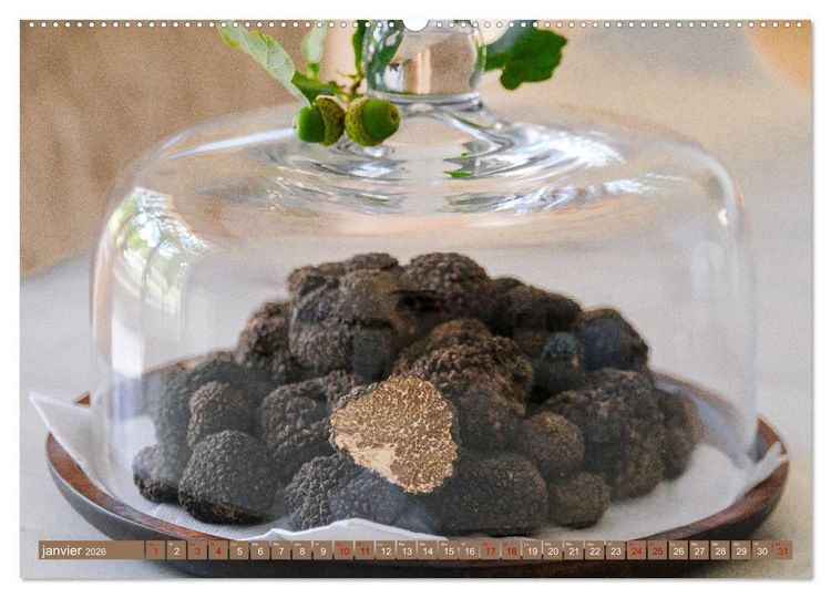 Produktbild: Tr&eacute;sors de truffes fran&ccedil;aises (Calendrier mural 2026 DIN A2 vertical) calendrier de bureau