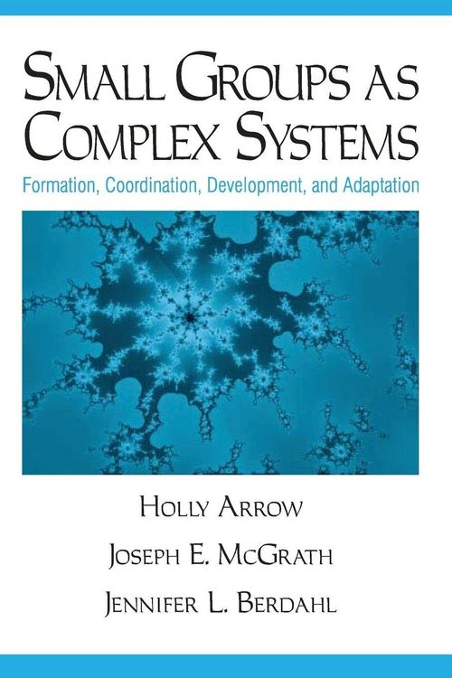 Produktbild: Small Groups as Complex Systems