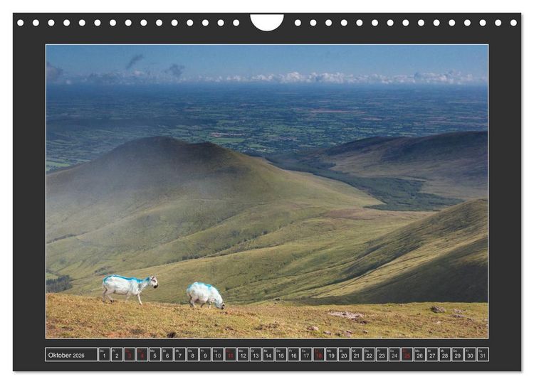 Produktbild: IRLAND - Insel der gl&uuml;cklichen Schafe (Wandkalender 2026 DIN A4 quer), CALVENDO Monatskalender