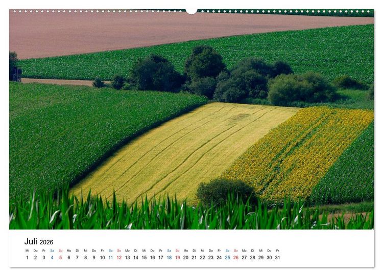 Produktbild: Felder und Wiesen (Wandkalender 2026 DIN A2 quer), CALVENDO Monatskalender