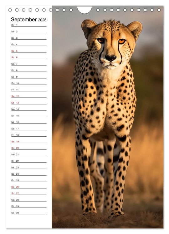 Produktbild: Ganz von vorn (Wandkalender 2026 DIN A4 hoch), CALVENDO Monatskalender