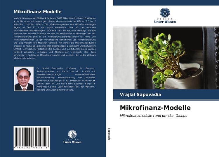Produktbild: Mikrofinanz-Modelle